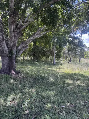 Prime 2-Acre Property for Sale – Kilole, Diani