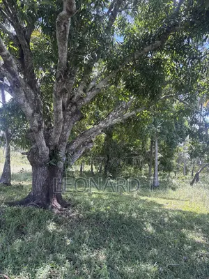Prime 2-Acre Property for Sale – Kilole, Diani