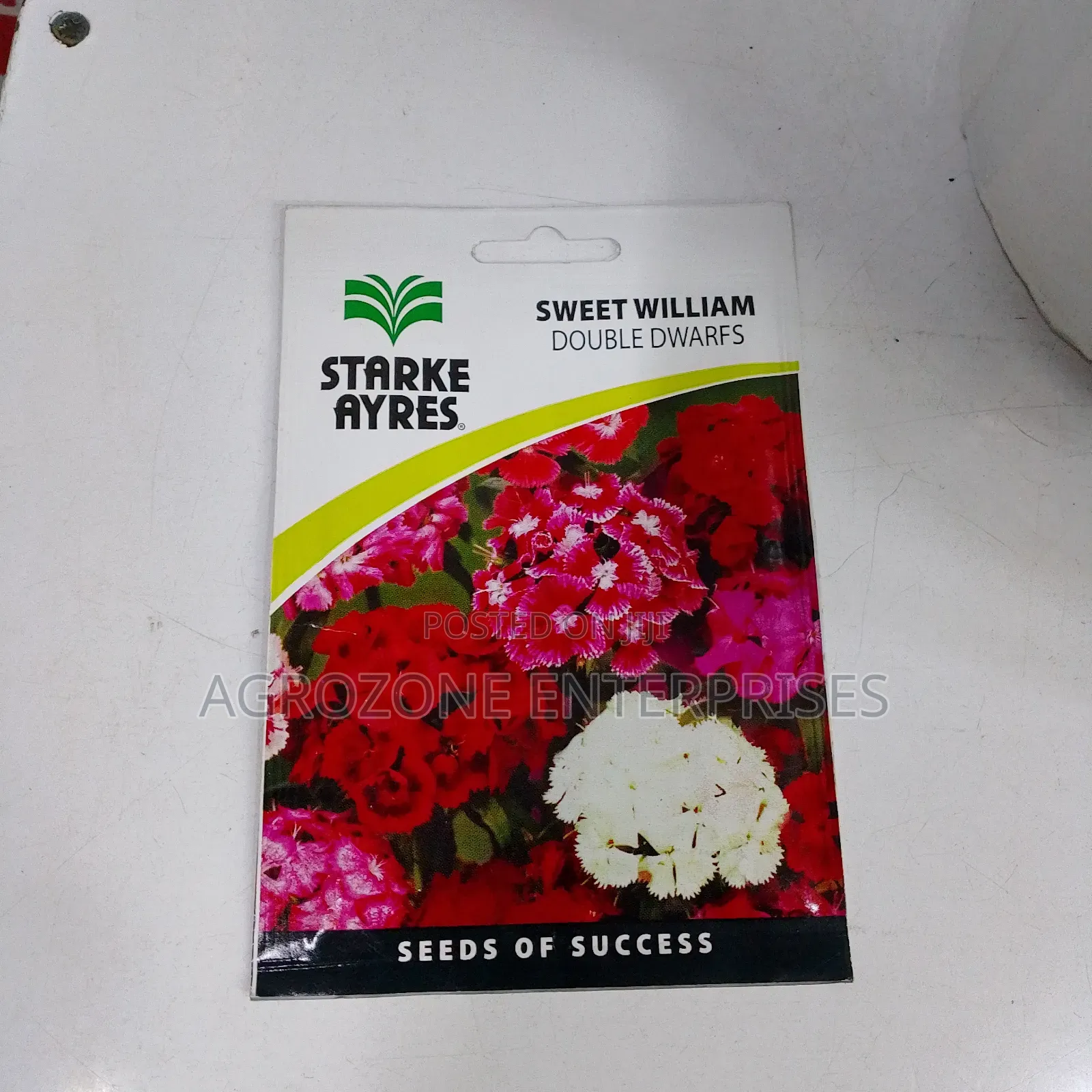 Sweet William Double Dwarf Flower Seed 0.3gms