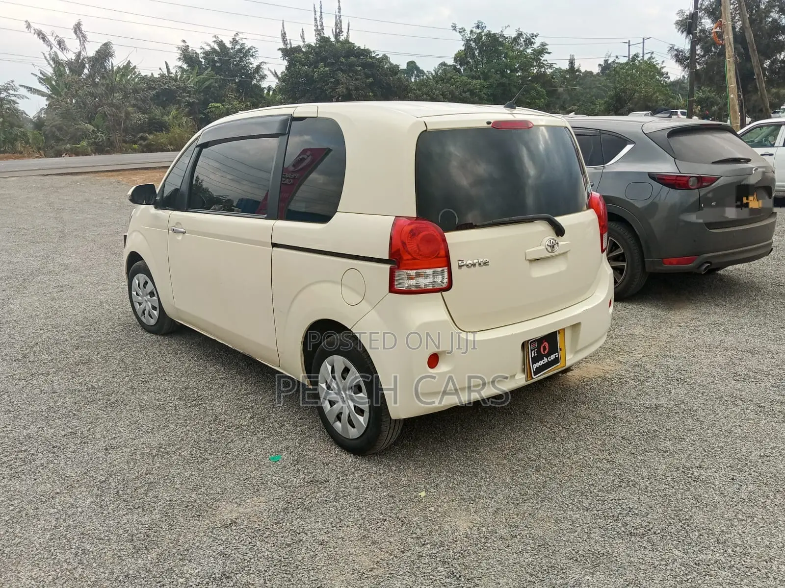 Toyota Porte 2018 Pearl