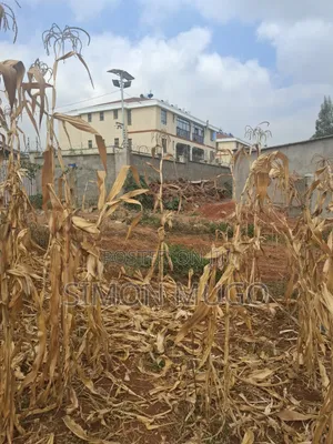 Valley View Kiambu Rd Prime Well Drained Red Soil 1/2 AC Corner Plot