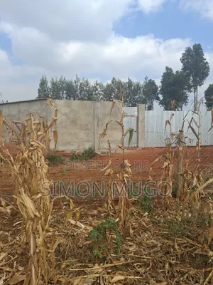 Valley View Kiambu Rd Prime Well Drained Red Soil 1/2 AC Corner Plot