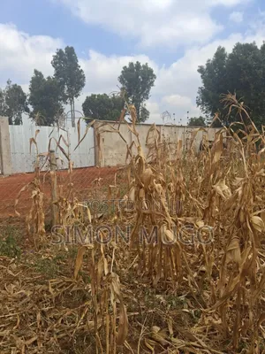 Valley View Kiambu Rd Prime Well Drained Red Soil 1/2 AC Corner Plot
