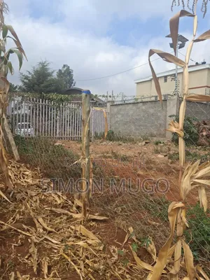 Valley View Kiambu Rd Prime Well Drained Red Soil 1/2 AC Corner Plot