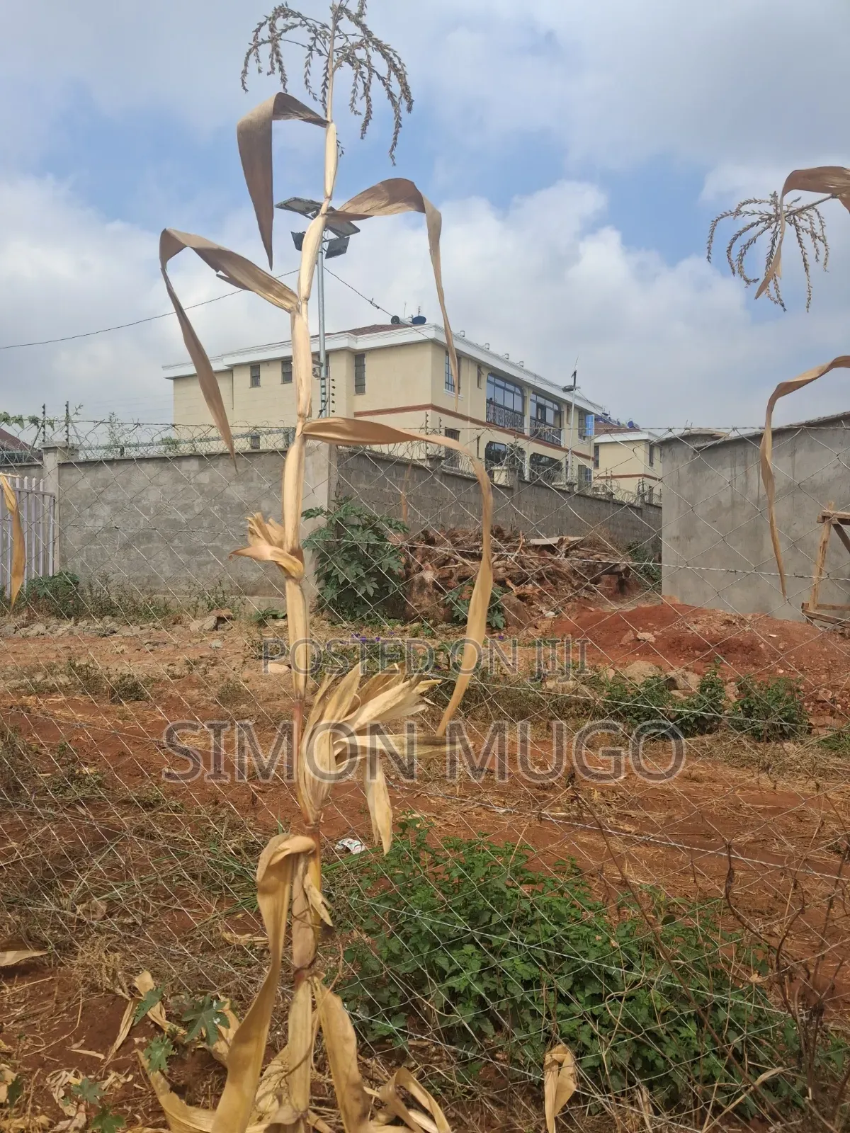 Valley View Kiambu Rd Prime Well Drained Red Soil 1/2 AC Corner Plot