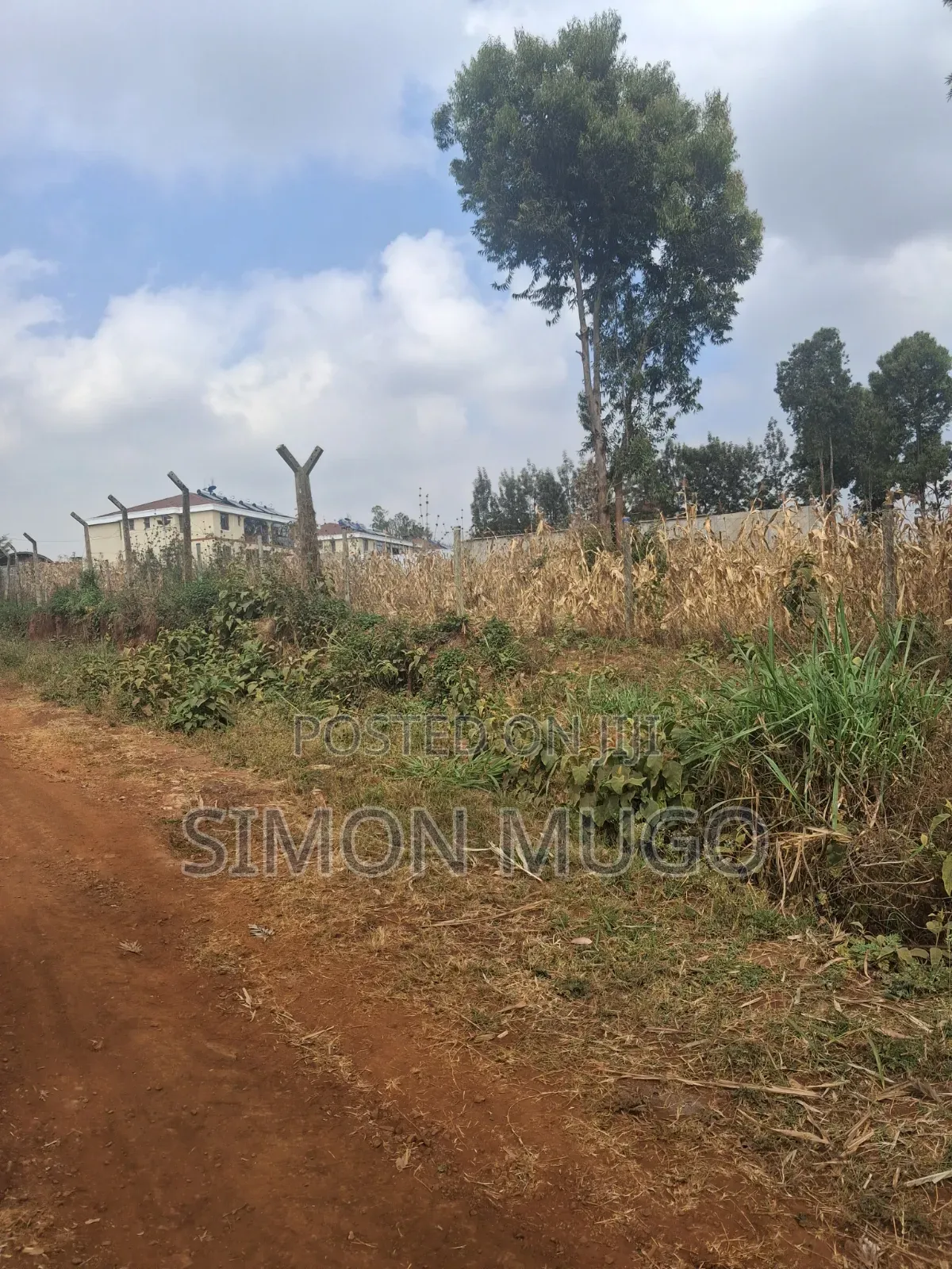 Valley View Kiambu Rd Prime Well Drained Red Soil 1/2 AC Corner Plot