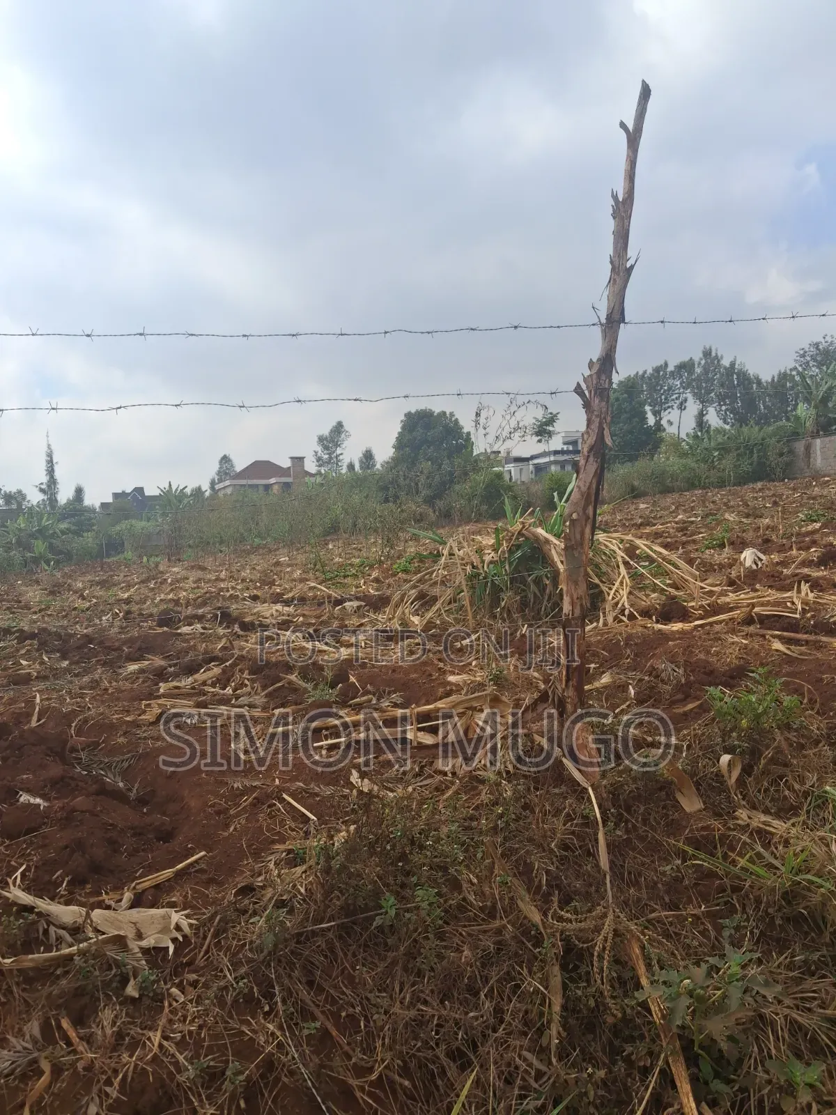 Valley View Kiambu Rd Prime Well Drained Red Soil 1/2 AC Corner Plot