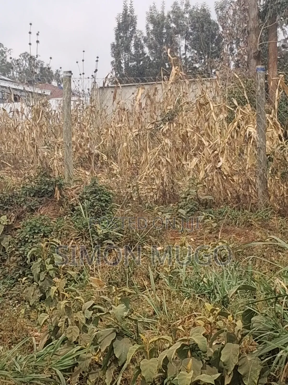 Valley View Kiambu Rd Prime Well Drained Red Soil 1/2 AC Corner Plot
