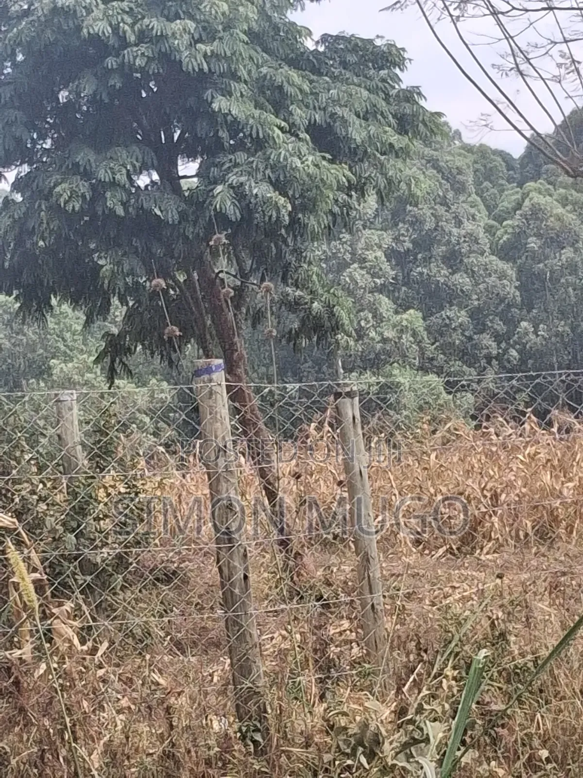 Valley View Kiambu Rd Prime Well Drained Red Soil 1/2 AC Corner Plot