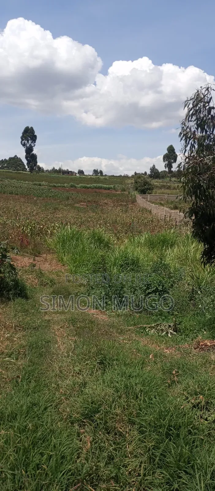 Valley View Kiambu Rd Prime Well Drained Red Soil 1/2 AC Corner Plot