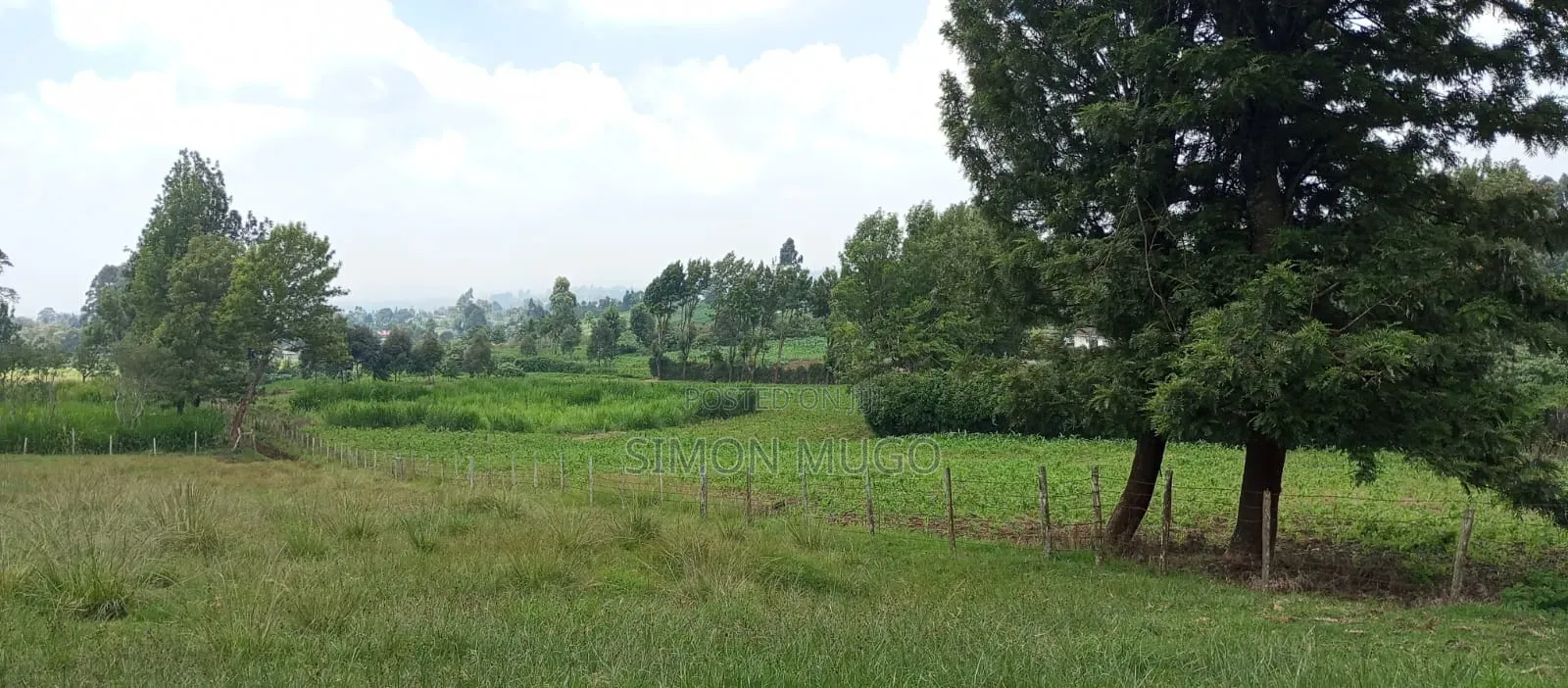 Valley View Kiambu Rd Prime Well Drained Red Soil 1/2 AC Corner Plot