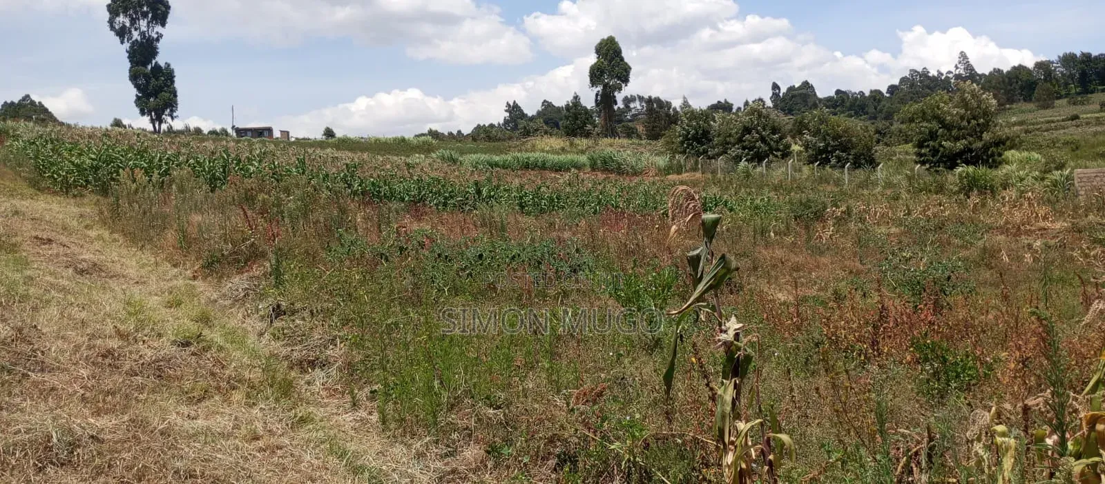 Valley View Kiambu Rd Prime Well Drained Red Soil 1/2 AC Corner Plot