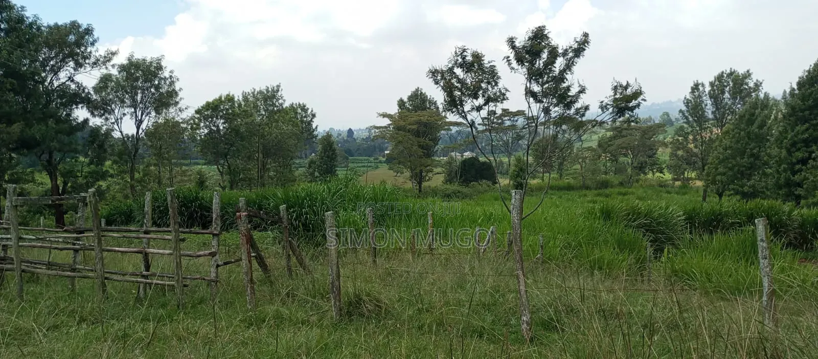Valley View Kiambu Rd Prime Well Drained Red Soil 1/2 AC Corner Plot