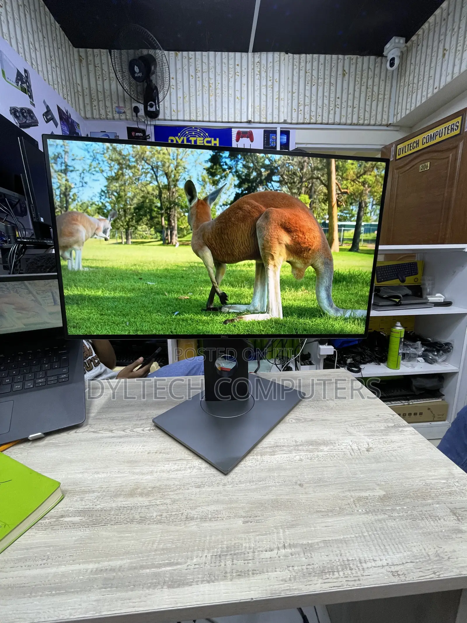 Dell Monitor