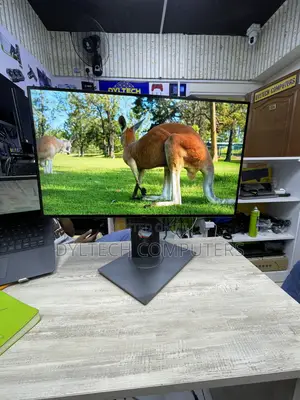 Dell Monitor