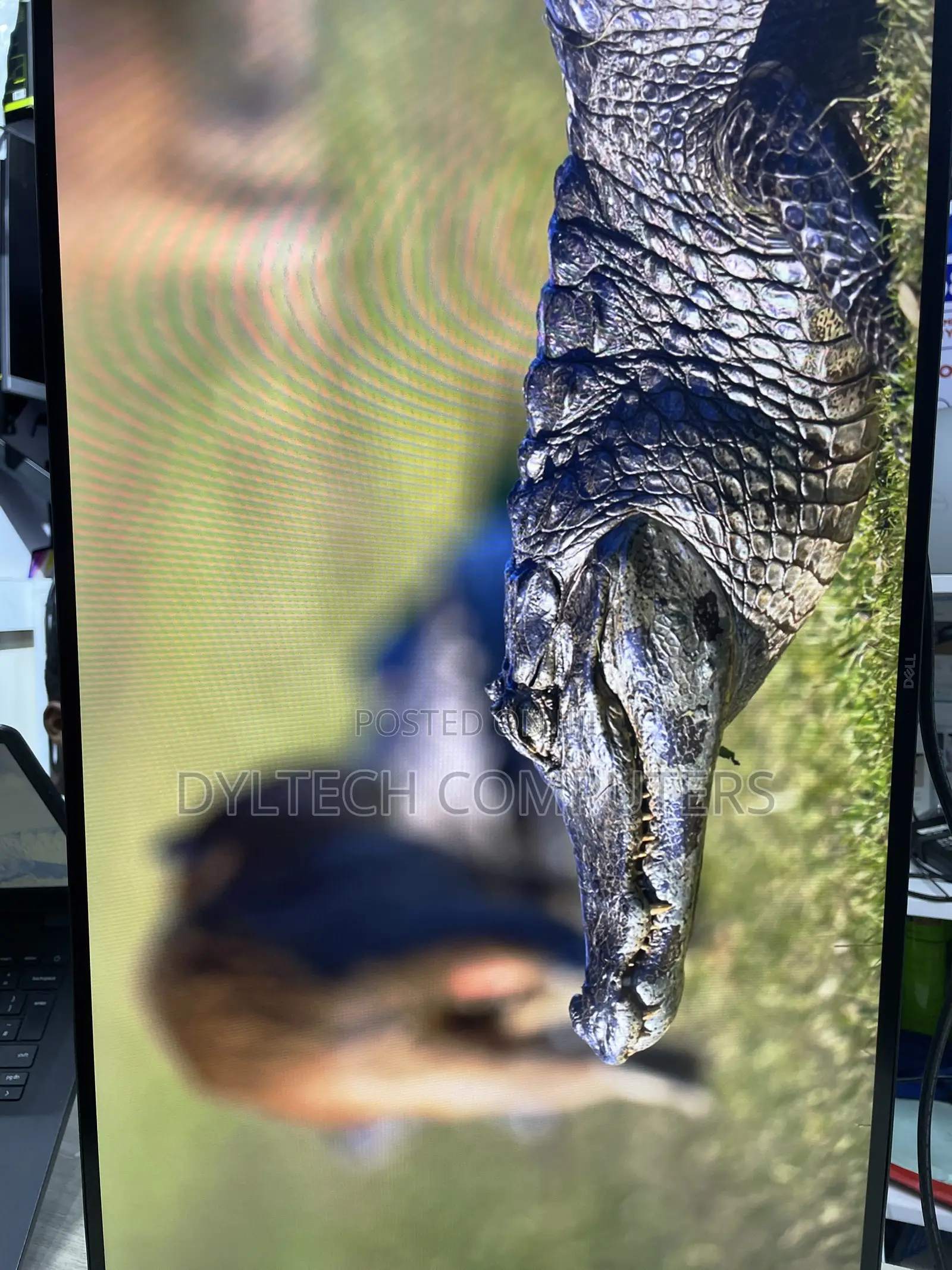 Dell Monitor