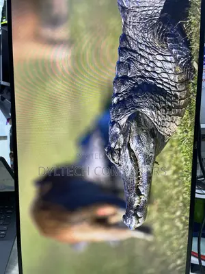 Dell Monitor