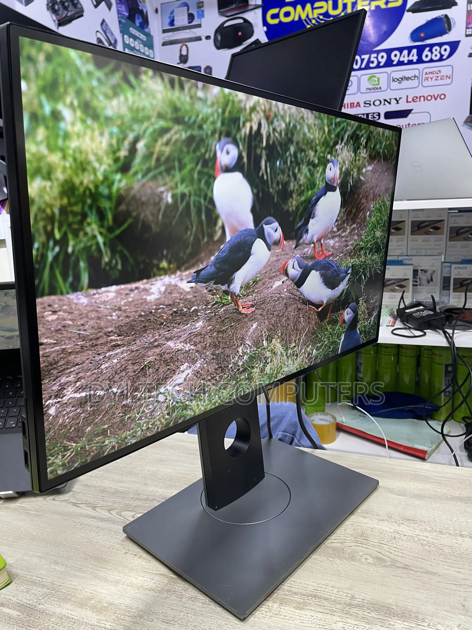 Dell Monitor