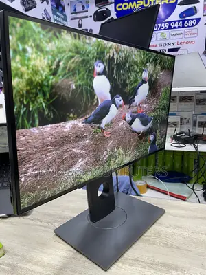 Dell Monitor