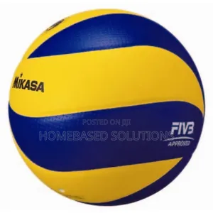 Mikasa Mv330/Mv220 Volleyballs