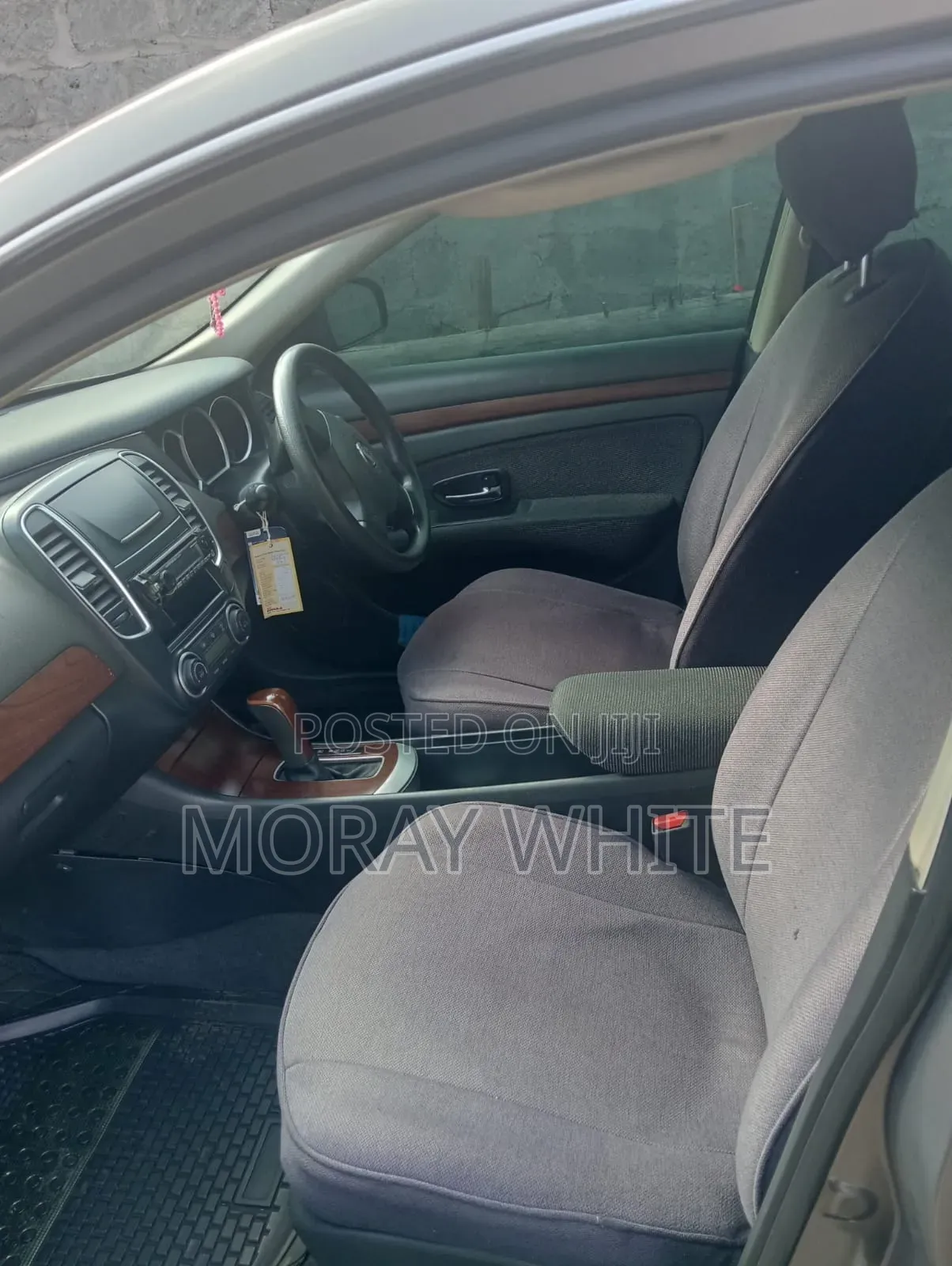 Nissan Sylphy 2010 Gray