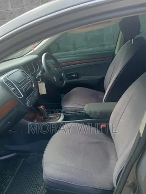 Nissan Sylphy 2010 Gray