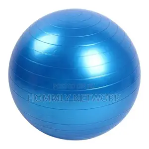 Exercise Yoga Ball With a Pump