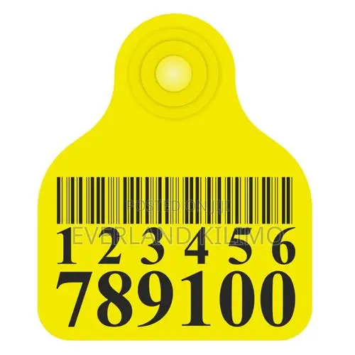 Breeding Record Customized Cattles Large Ear Tags