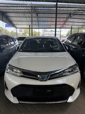 Toyota Axio 1.3 X 2WD 2019 White