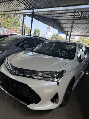 Toyota Axio 1.3 X 2WD 2019 White