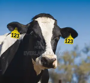 Laser Printed Cattle Large Numbered Ear Tags