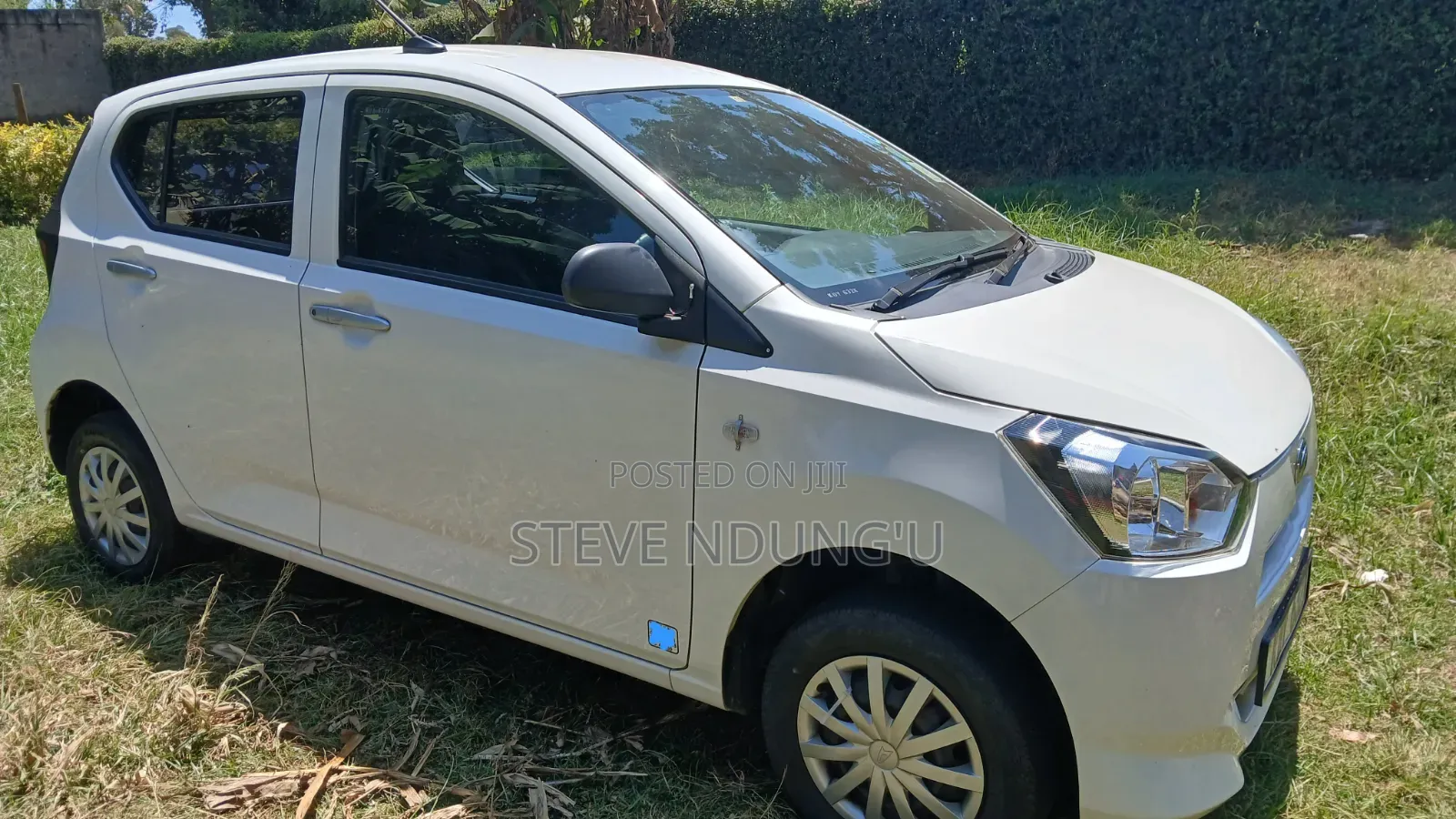 Car Hire Services