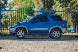 Toyota RAV4 2002 Blue