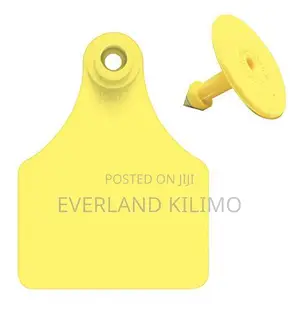Plain Medium Calf Ear Tag