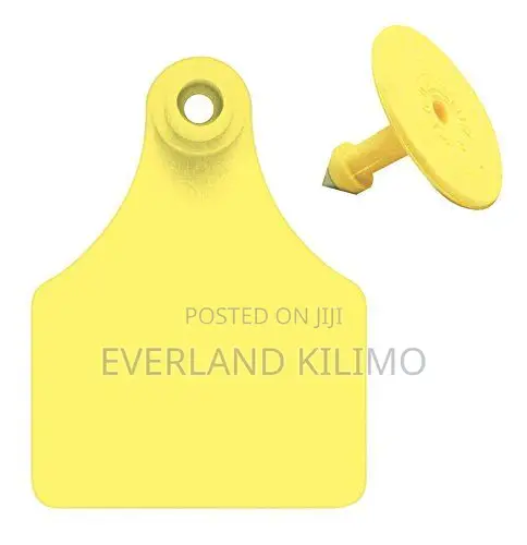 Plain Medium Calf Ear Tag