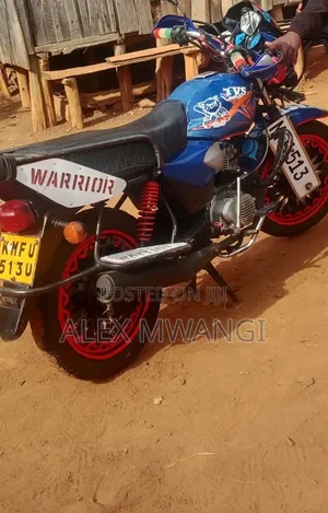 TVS HLX Plus ES 2015 Blue