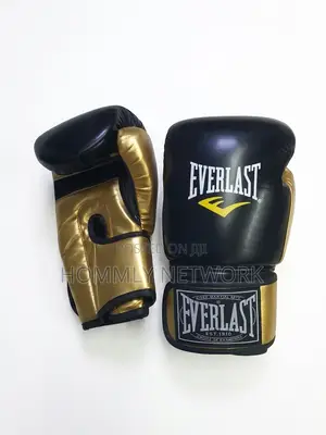 Everlast Boxing Gloves Pair -14oz