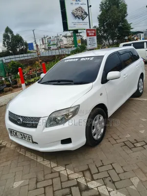 Toyota Corolla Fielder 2009 White