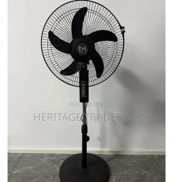 Fan, Standing Fan