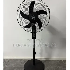Fan, Standing Fan