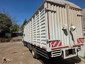 Isuzu FRR
Yom 2024
