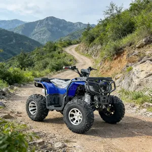 Quadbike New Model 200cc ATV Automatic