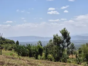 20ACRES for Sele in Nakuru Miti Mingi Near Isalaasha Campsite.