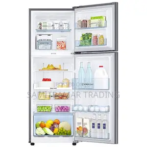 RT25FARBDS8 Samsung 256Liters Double Door Fridge With Top Mount Freez