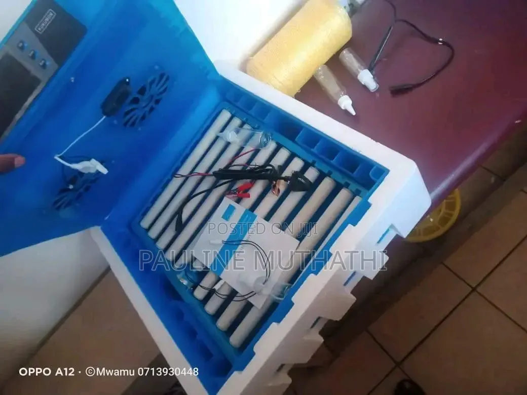 Automatic Egg Incubator