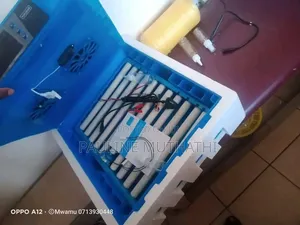 Automatic Egg Incubator