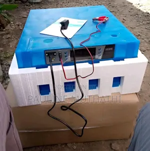 Automatic Egg Incubator