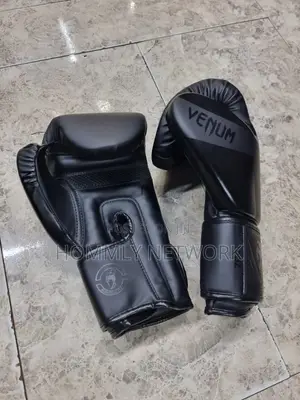 Boxing Gloves Pair 10oz