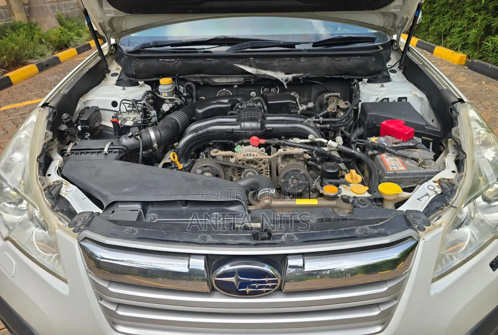 Subaru Outback 2014 Pearl