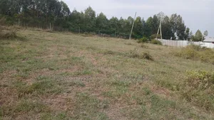 1/4 for Sale in Ongata Rongai, Kamura–Oloika Area